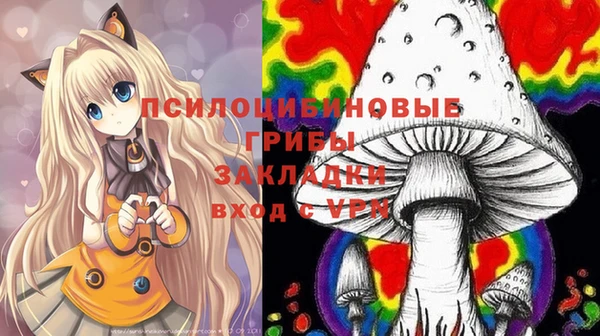 гидропоника Алексеевка